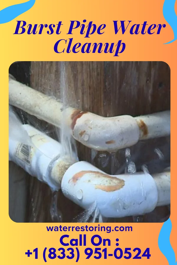 Burst Pipe Water Cleanup in Lomira, WI