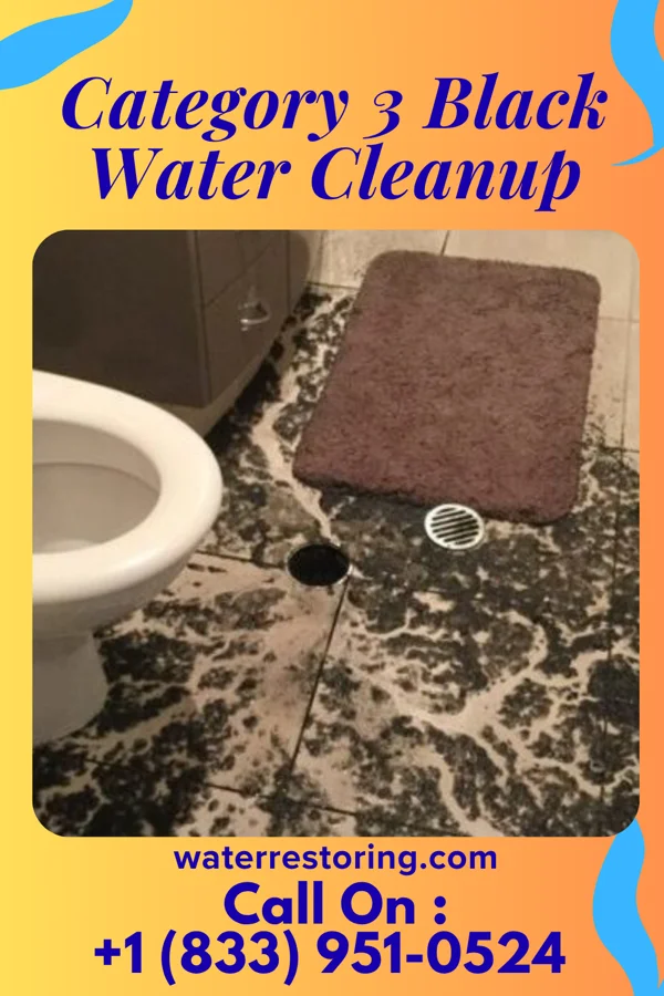 Category 3 Black Water Cleanup in Lomira, WI