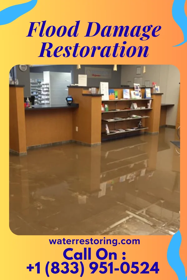 Flood Damage Restoration in Lomira, WI
