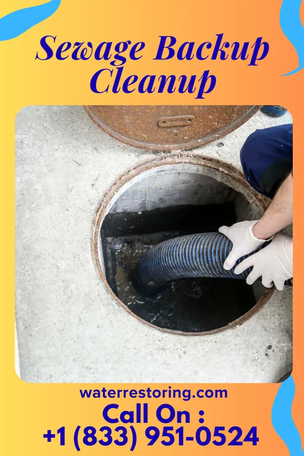 Sewage Backup Cleanup in Lomira, WI