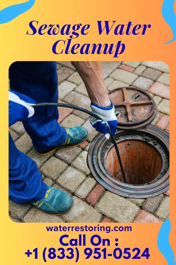 Sewage Water Cleanup in Lomira, WI