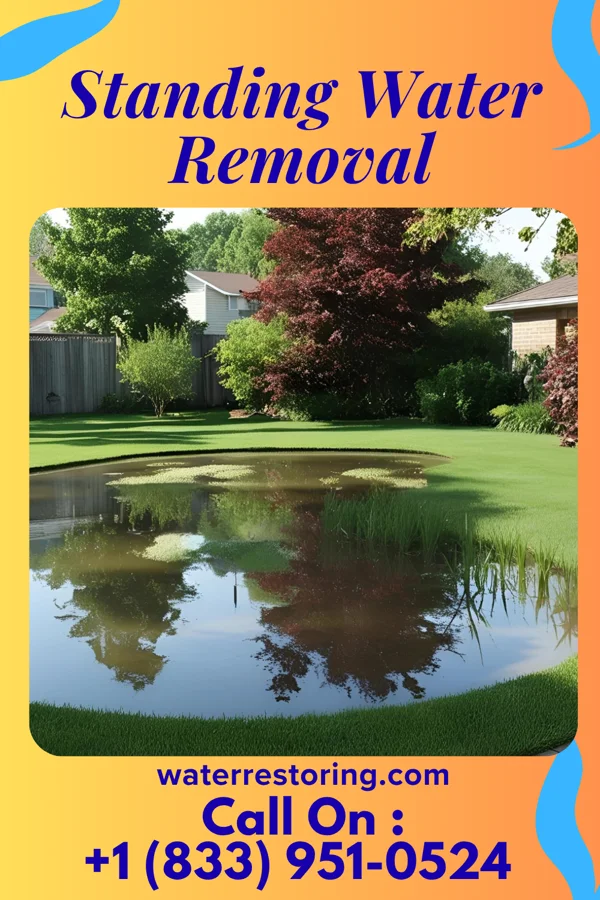 Standing Water Removal in Lomira, WI